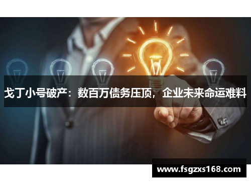戈丁小号破产：数百万债务压顶，企业未来命运难料